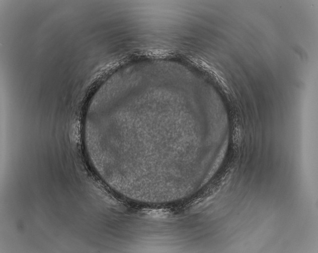 X0000112060689200909011003