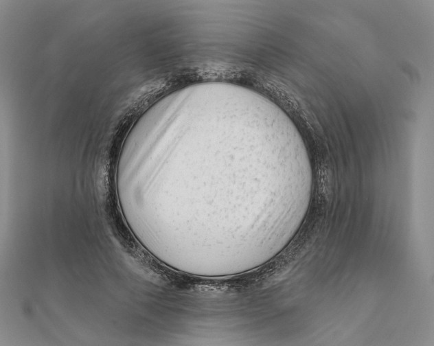 X0000112060690200909011003