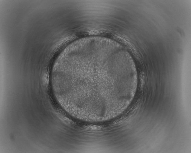 X0000112060691200909011003