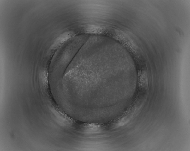 X0000112060692200909011003