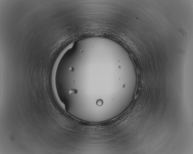 X0000112060693200909011003