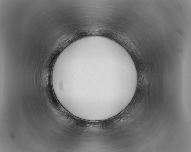 X0000112060694200909011003