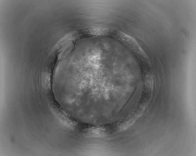 X0000112060696200909011003