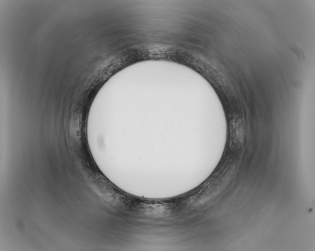 X0000112060698200909011003