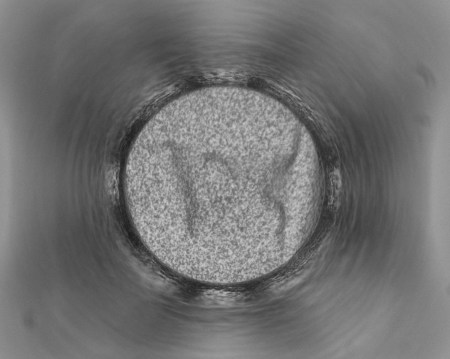 X0000112060699200909011003