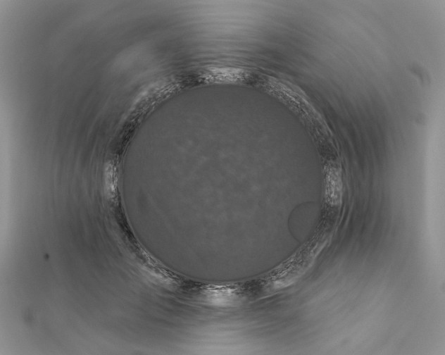 X0000112060701200909011003