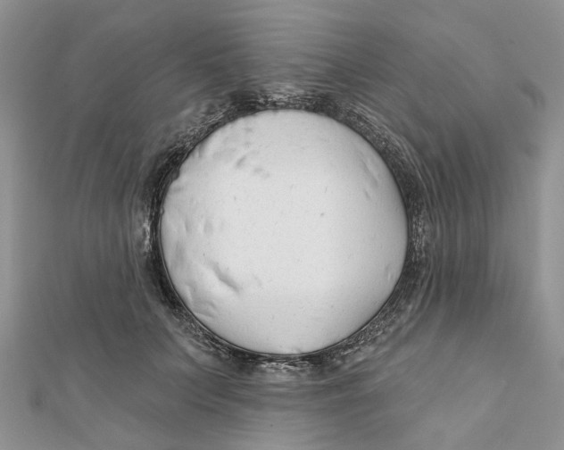 X0000112060703200909011002
