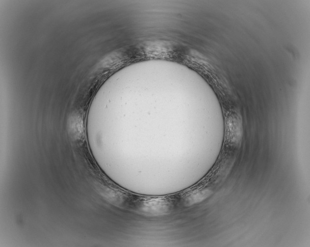 X0000112060705200909011002