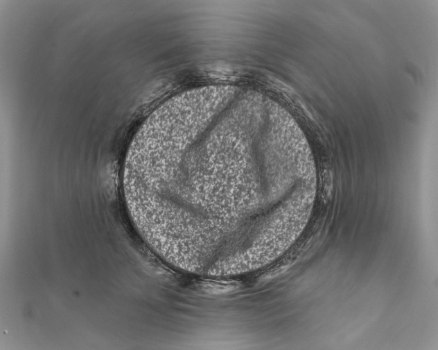 X0000112060707200909011002