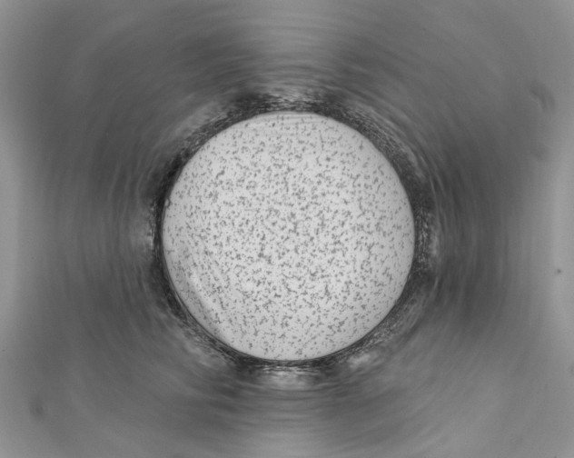 X0000112060710200909011002