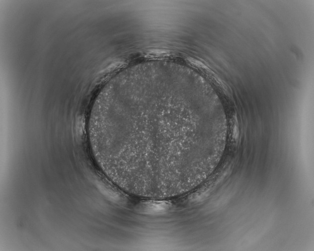 X0000112060711200909011002
