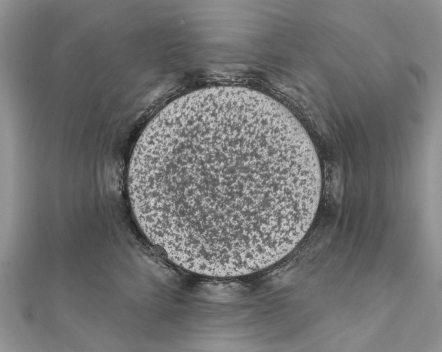 X0000112060712200909011002