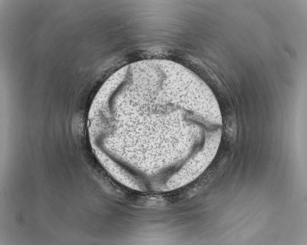 X0000112060715200909011002