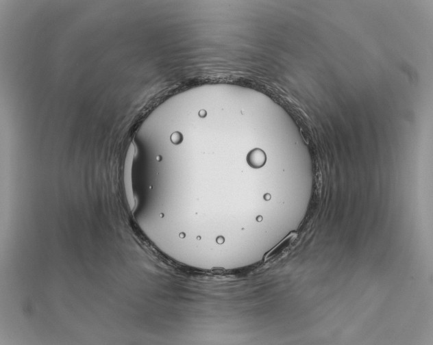 X0000112060716200909011002