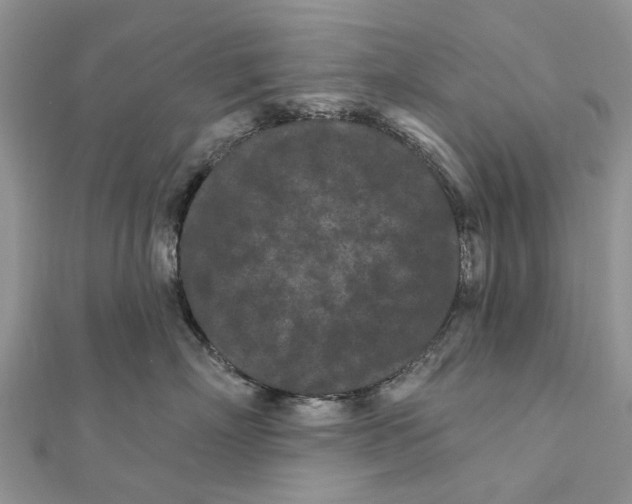 X0000112060718200909011002