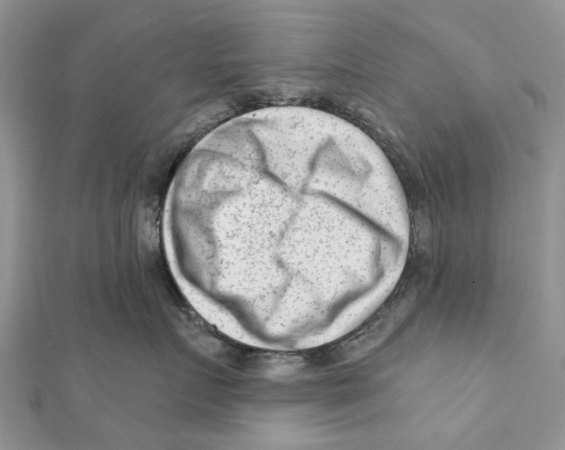 X0000112060719200909011002