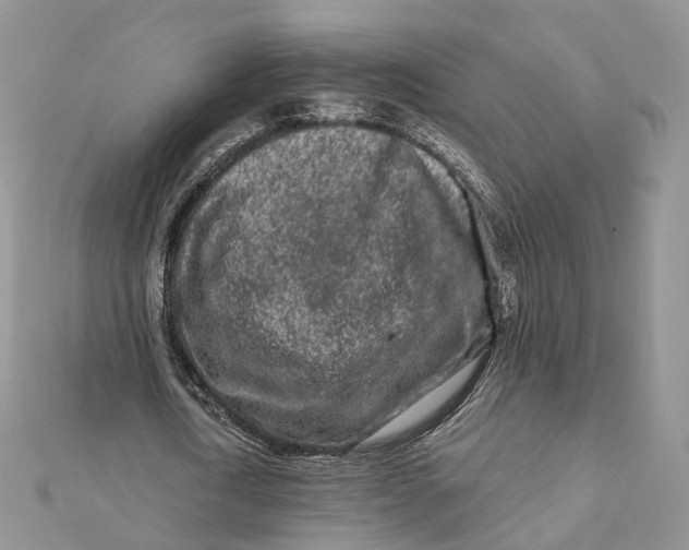 X0000112060722200909011002
