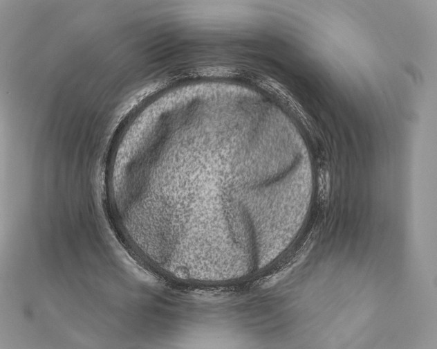 X0000112060725200909011002