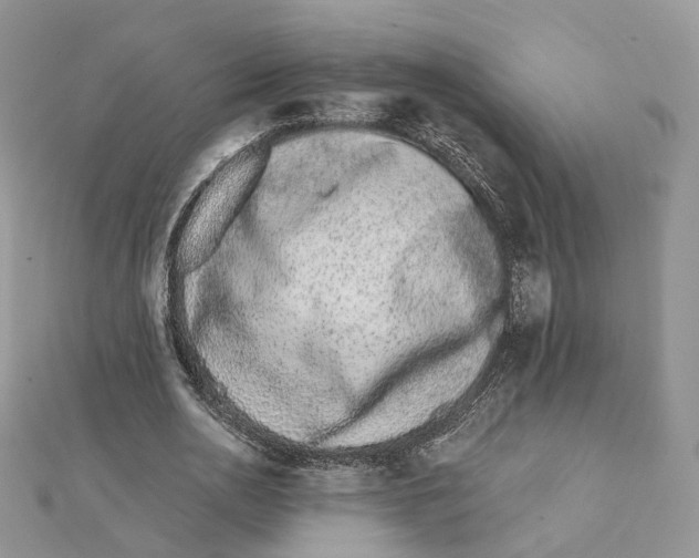 X0000112060726200909011002