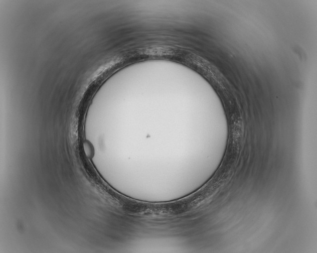 X0000112060727200909011002