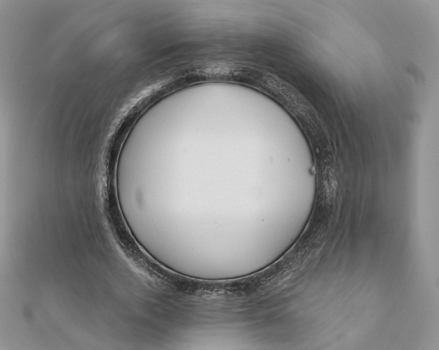 X0000112060728200909011002