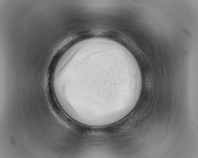 X0000112060730200909011002
