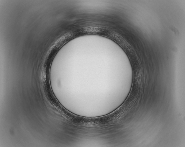 X0000112060731200909011002