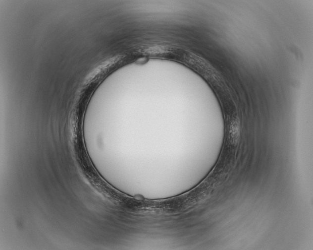 X0000112060732200909011002