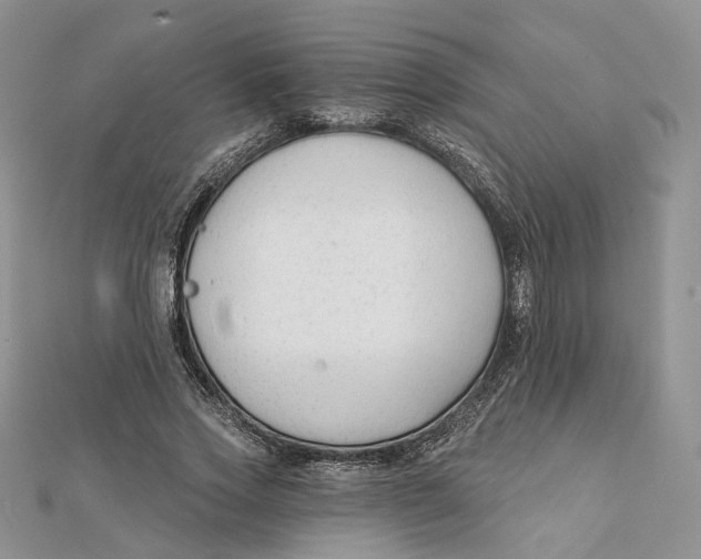 X0000112060733200909011002