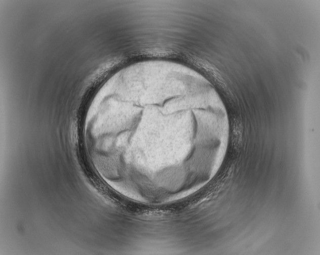 X0000112060734200909011002