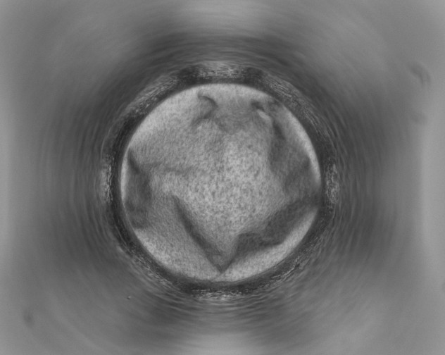 X0000112060735200909011002