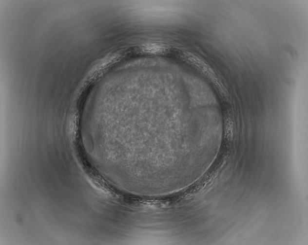 X0000112060736200909011002