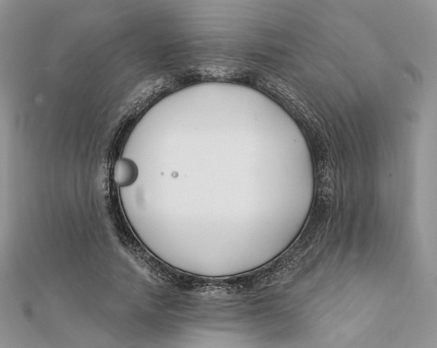 X0000112060738200909011002