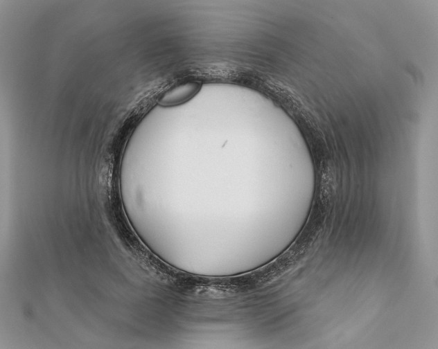 X0000112060739200909011002