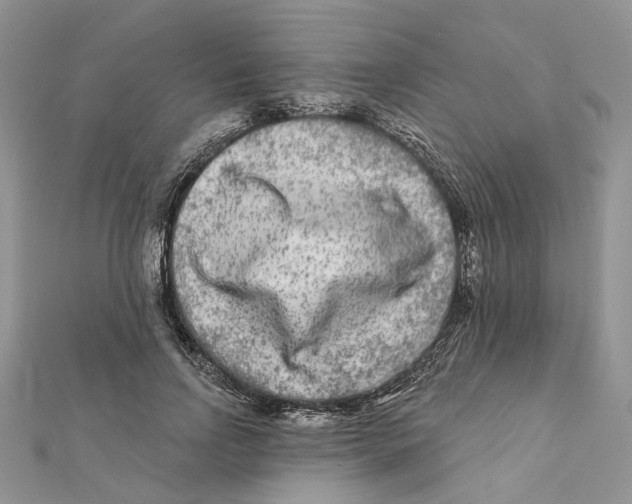 X0000112060742200909011002
