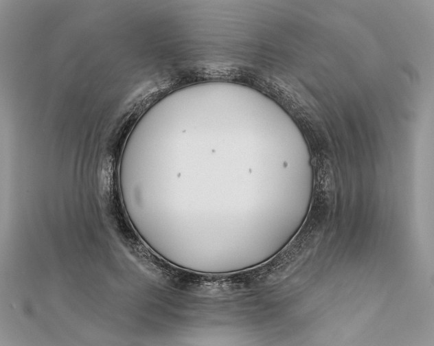 X0000112060744200909011002