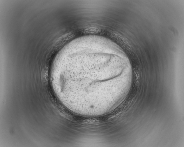 X0000112060745200909011002