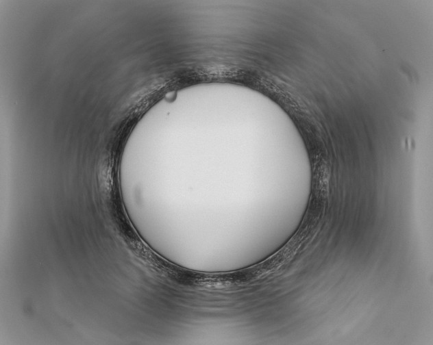 X0000112060746200909011002