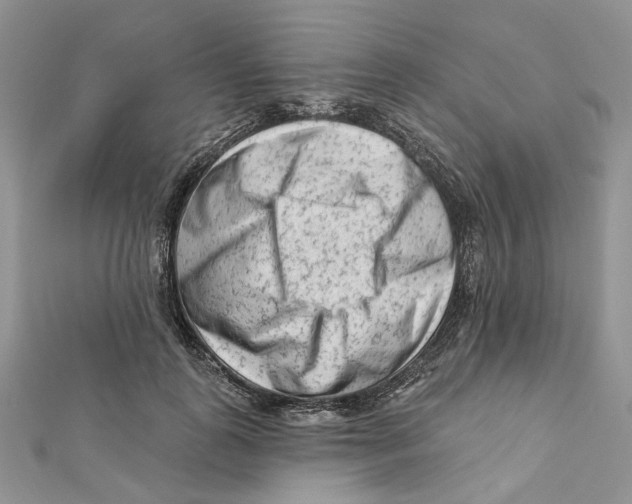 X0000112060747200909011002
