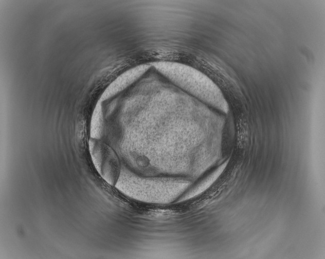 X0000112060748200909011002
