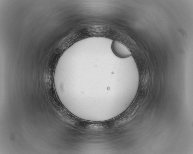 X0000112060749200909011002
