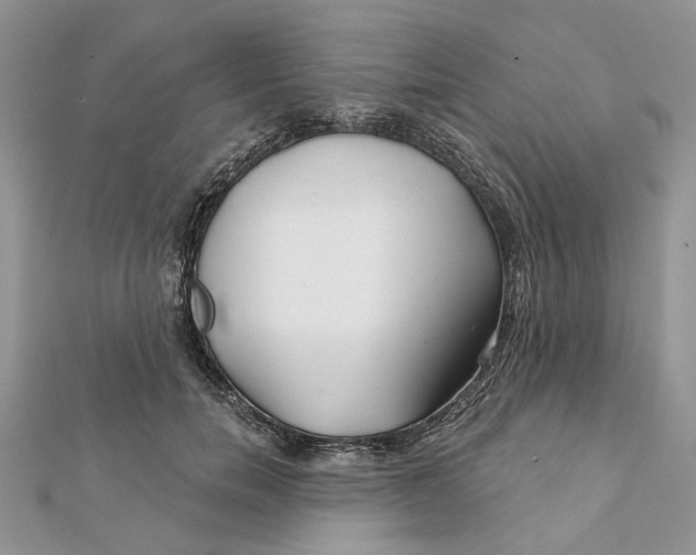 X0000112060750200909011002