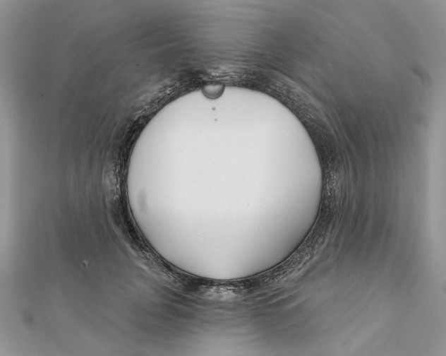 X0000112060751200909011002