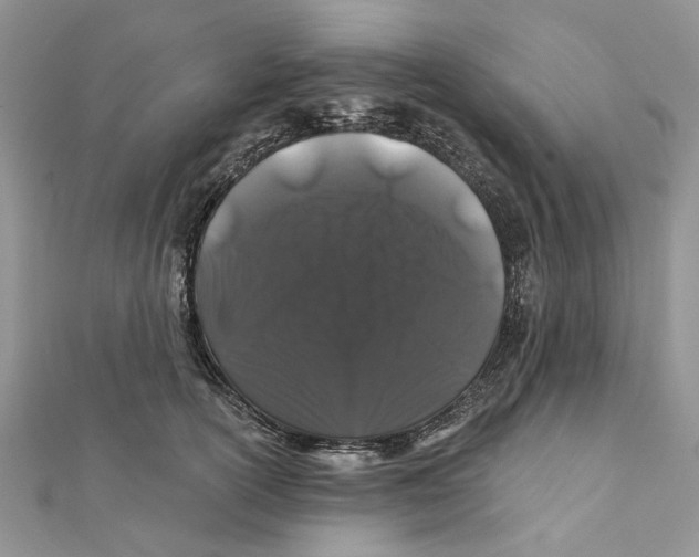 X0000112060754200909011002