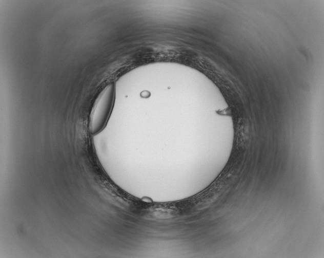 X0000112060756200909011002