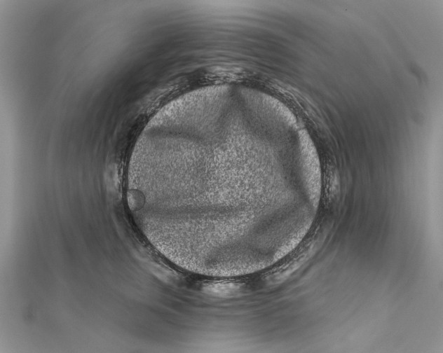 X0000112060759200909011002