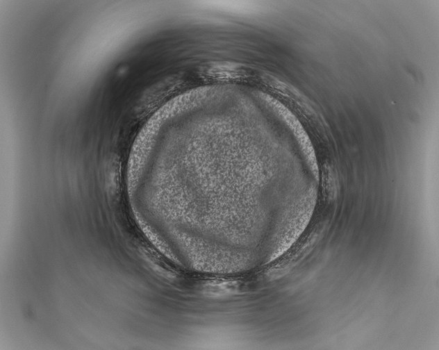 X0000112060760200909011002