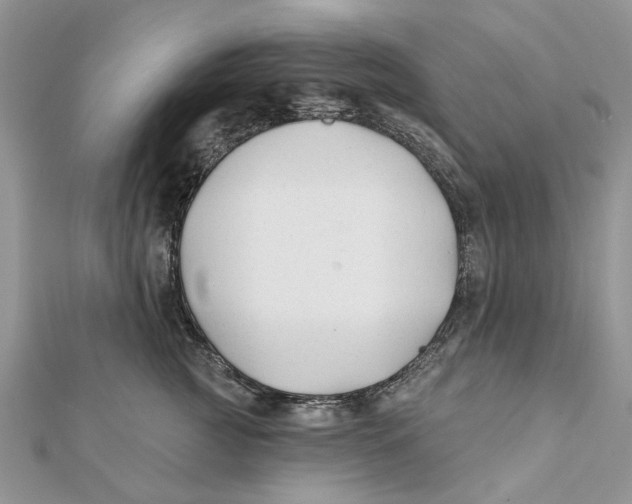X0000112060761200909011002