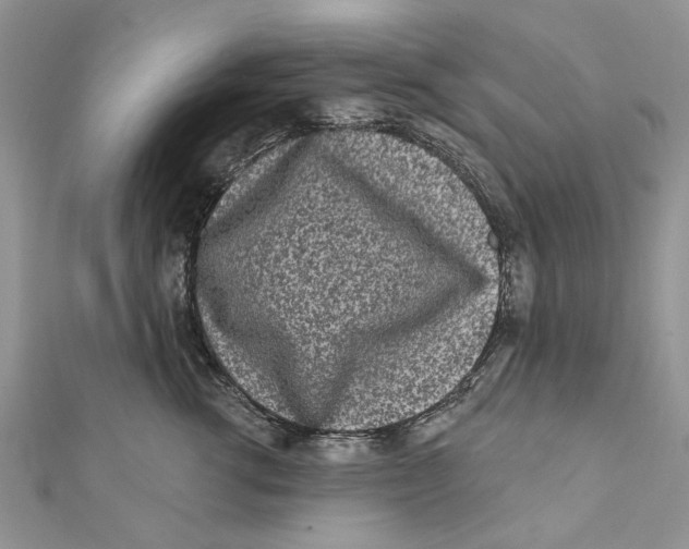 X0000112060762200909011002