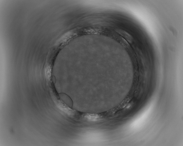 X0000112060767200909011002